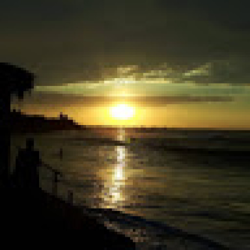 WILSON KRUGG JUAN HECTOR