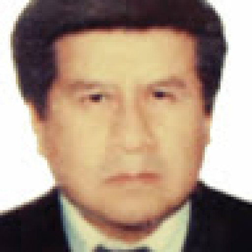 DIAZ PULIDO JOSE ARTURO